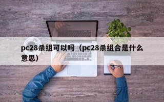 pc28杀组可以吗（pc28杀组合是什么意思）