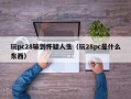 玩pc28输到怀疑人生（玩28pc是什么东西）