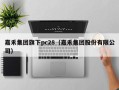 嘉禾集团旗下pc28（嘉禾集团股份有限公司）