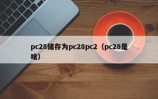 pc28储存为pc28pc2（pc28是啥）