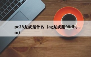 pc28龙虎是什么（ag龙虎趟98db,in）