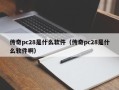 传奇pc28是什么软件（传奇pc28是什么软件啊）