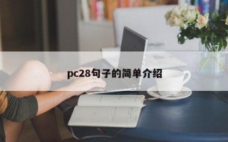 pc28句子的简单介绍