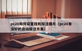 pc28如何设置挂机投注图片（pc28有没好的自动投注方案）