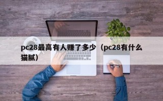 pc28最高有人赚了多少（pc28有什么猫腻）