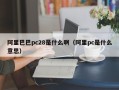 阿里巴巴pc28是什么啊（阿里pc是什么意思）