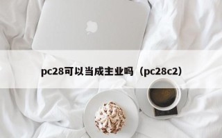 pc28可以当成主业吗（pc28c2）