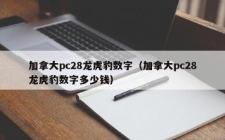 加拿大pc28龙虎豹数字（加拿大pc28龙虎豹数字多少钱）