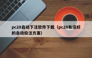 pc28自动下注软件下载（pc28有没好的自动投注方案）