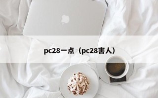 pc28一点（pc28害人）