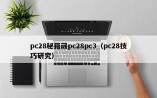 pc28秘籍葳pc28pc3（pc28技巧研究）