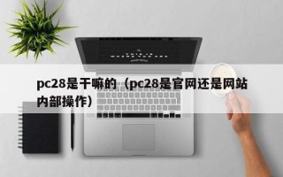 pc28是干嘛的（pc28是官网还是网站内部操作）