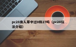 pc28有人草中过0和27吗（pc28玩法介绍）