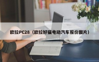 欧拉PC28（欧拉好猫电动汽车报价图片）