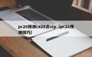 pc28预测cx28点vip（pc28预测技巧）