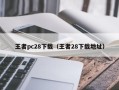 王者pc28下载（王者28下载地址）