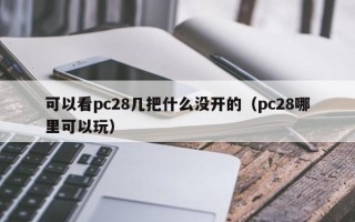 可以看pc28几把什么没开的（pc28哪里可以玩）