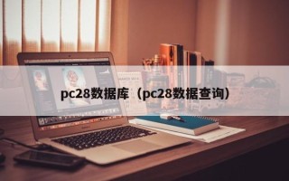 pc28数据库（pc28数据查询）