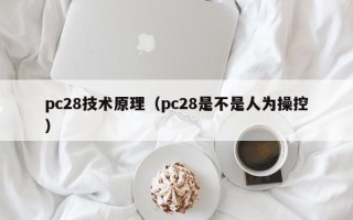 pc28技术原理（pc28是不是人为操控）