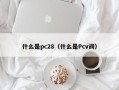 什么是pc28（什么是Pcv阀）