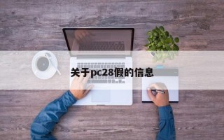 关于pc28假的信息