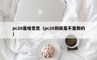 pc28是啥意思（pc28到底是不是假的）