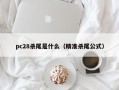 pc28杀尾是什么（精准杀尾公式）