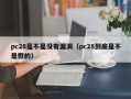 pc28是不是没有漏洞（pc28到底是不是假的）