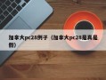 加拿大pc28例子（加拿大pc28是真是假）