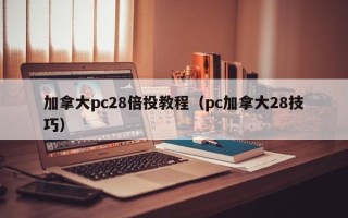 加拿大pc28倍投教程（pc加拿大28技巧）