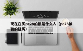 现在在买pc28的都是什么人（pc28被骗的经历）