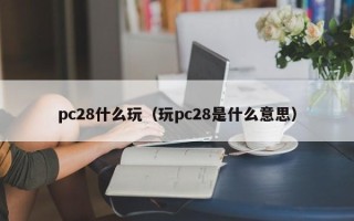 pc28什么玩（玩pc28是什么意思）