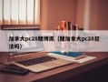 加拿大pc28赌博抓（赌加拿大pc28犯法吗）