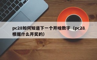 pc28如何知道下一个开啥数字（pc28根据什么开奖的）