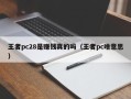 王者pc28是赚钱真的吗（王者pc啥意思）