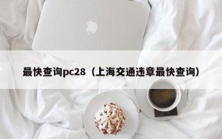 最快查询pc28（上海交通违章最快查询）