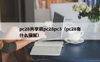 pc28共享葳pc28pc3（pc28有什么猫腻）