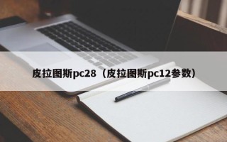 皮拉图斯pc28（皮拉图斯pc12参数）