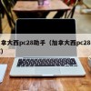 加拿大西pc28助手（加拿大西pc28开奖）