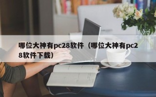 哪位大神有pc28软件（哪位大神有pc28软件下载）