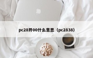 pc28开00什么意思（pc2838）