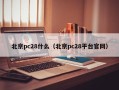 北京pc28什么（北京pc28平台官网）