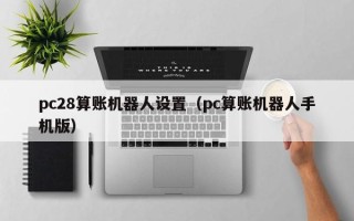 pc28算账机器人设置（pc算账机器人手机版）