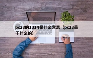 pc28的1314是什么意思（pc28是干什么的）