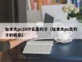 加拿大pc28什么是豹子（加拿大pc出豹子的概率）