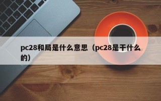 pc28和局是什么意思（pc28是干什么的）