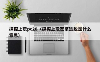 探探上玩pc28（探探上玩密室逃脱是什么意思）