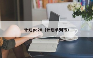 计划pc28（计划单列市）