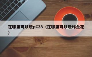 在哪里可以玩pC28（在哪里可以玩炸金花）