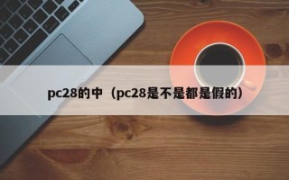 pc28的中（pc28是不是都是假的）